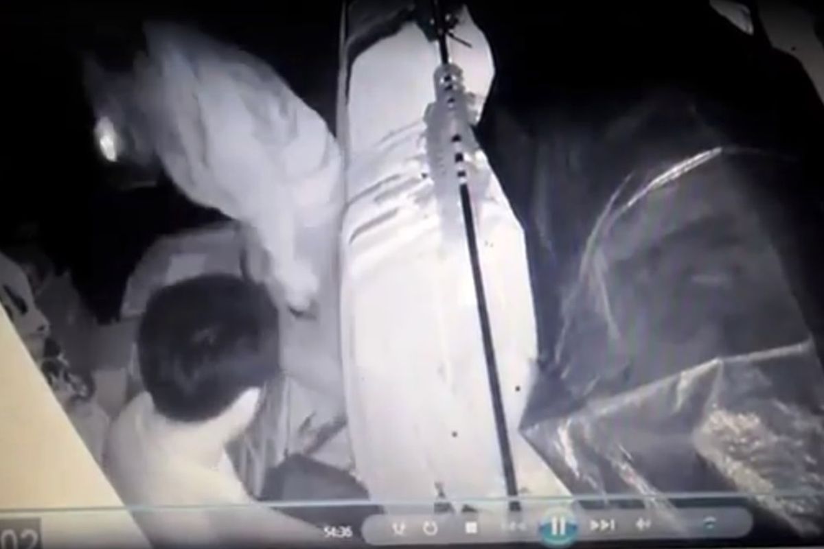 Dua orang pencuri sedang menggasak pakaian di dalam distro di kawasan pertokoan, Ciranjang, Cianjur, Jawa Barat. Aksi mereka terekam kamera pengintai atau CCTV