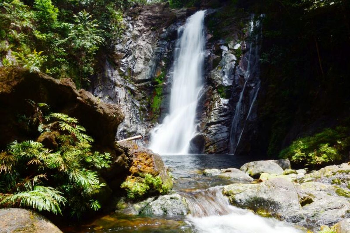 Hasil dari pengukuran debit yang dilakukan Dr Ir Arie Herlambang pakar air dari pusat Teknologi Lingkungan BPPT, air terjun Jelutung memiliki debit air sekitar 6.000 liter per detik dan memiliki Total Dissolved Solid (TDS) 3 ppm. Angka TDS 3 ppm ini menunjukkan bahwa air terjun Jelutung masuk kategori air layak minum dengan salah satu kualitas terbaik di Indonesia.