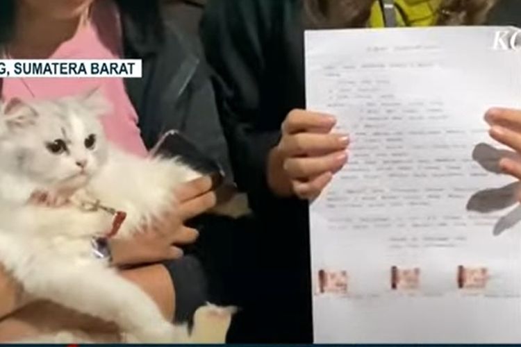 Penampakan kucing yang dicekoki miras oleh tiga wanita di Padang. Buntut kejadian itu, tiga pelaku diminta menyampaikan maaf.