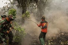 Kabut Asap Riau, 3 PR Jokowi untuk Tangani Karhutla di Indonesia