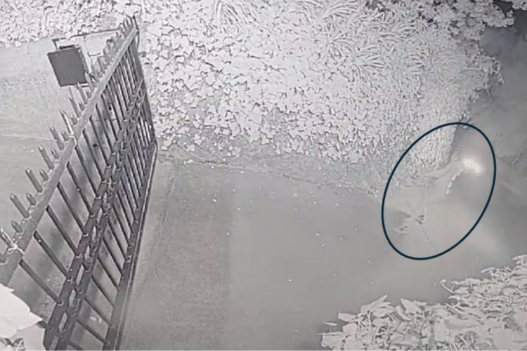Dokumentasi rekaman CCTV yang menunjukkan aksi Gama melempar bom molotov ke gerbang rumah Sam Altman.