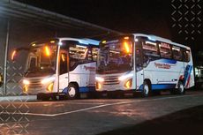 PO Nyaman Holiday Rilis Bus Baru Pakai Sasis Isuzu dan Hino