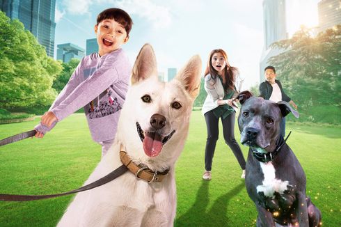 Sinopsis Film June & Kopi, Kisah Persahabatan Anjing dan Manusia