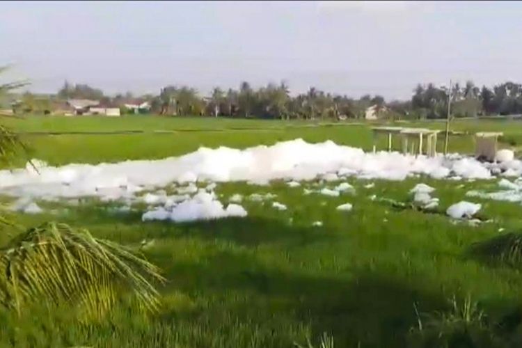 Buih Mirip Salju yang Cemari Sungai Percut Diduga Berasal dari Pembersihan IPAL