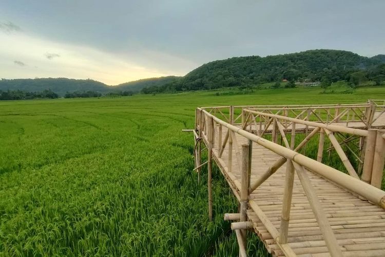 Salah satu sudut Menoreh Sky Bridge, salah satu rekomendasi tempat wisata di Yogyakarta.