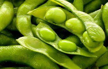 Ilustrasi edamame