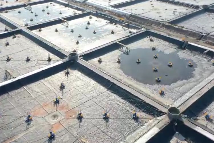 Shrimp Estate merupakan terobosan inovatif yang digagas oleh Gubernur Kalimantan Tengah (Kalteng) Sugianto Sabran dan dibangun pada area seluas 40,17 hektar (ha) di Desa Sungai Raja, Kecamatan Jelai, Kabupaten Sukamara.
