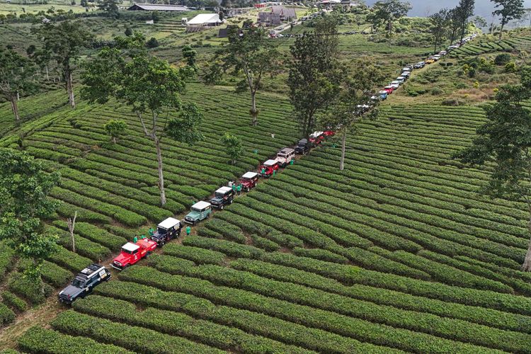 Komunitas Toyota Land Cruiser Indonesia