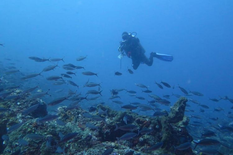 Fun Diving di Desa Bondalem, Buleleng, Bali