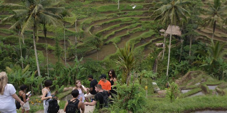 Wisatawan mancanegara menikmati pemandangan pedesaan sawah berundak (terasering) di Desa Tegallalang, Gianyar, Bali, Rabu (30/1/2019). Dinas Pariwisata Daerah Kabupaten Gianyar menargetkan kunjungan sebanyak tiga juta orang wisatawan mancanegara ke Gianyar selama tahun 2019. 