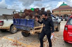 Curi 1,3 Ton Buah Kelapa Sawit, Seorang Mantan Kades Ditangkap