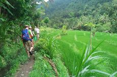 Desa Wisata Telengan Gegelang di Bali, Tawarkan 10 Aktivitas Menarik