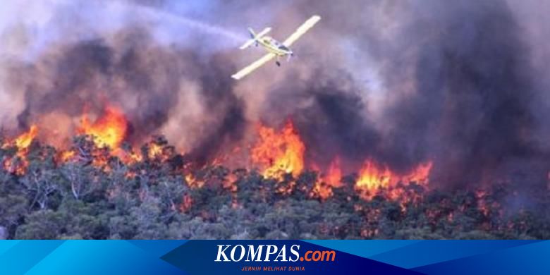 10 Hal Dari Perubahan Iklim Ini Memperburuk Kasus Kebakaran Hutan Halaman All Kompas Com