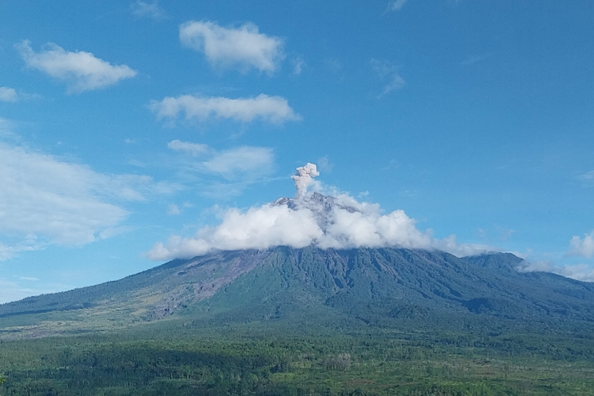 Visual erupsi Gunung Semeru dengan letusan setinggi 800 meter, Rabu (20/8/2025).