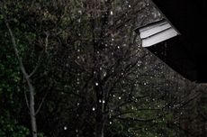 Bank Islam Dunia Buka Beasiswa Penuh S1-S3, Ada Tunjangan Hidup Bulanan