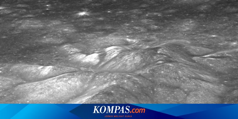 money kompas com