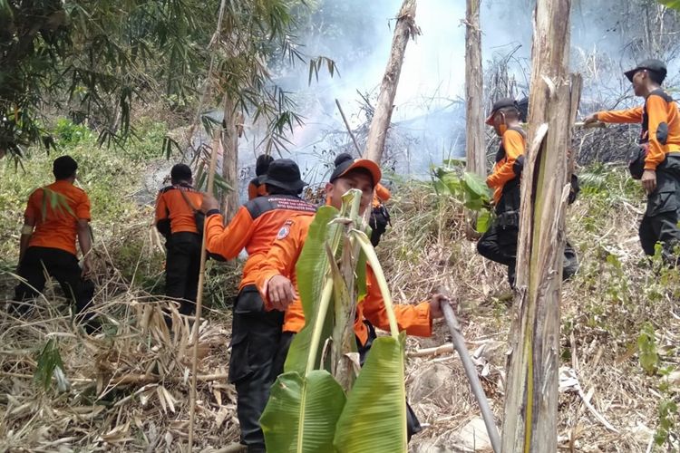 Sejumlah petugas dari BPBD dan Damkar terlibat memadamkan kebakaran di lahan hutan di Gunung Kanaga, Desa Antajaya, Kecamatan Tanjungsari, Bogor, Jawa Barat.