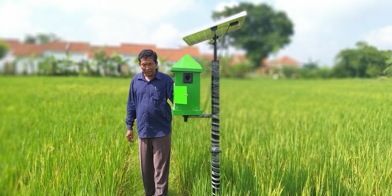 Prihatin Banyak Petani Kesetrum Raharjo Ciptakan Alat Pengusir Tikus Bertenaga Surya Halaman All Kompas Com Prihatin Banyak Petani Kesetrum Raharjo Ciptakan Alat Pengusir Tikus Bertenaga Surya Halaman All Kompas Com