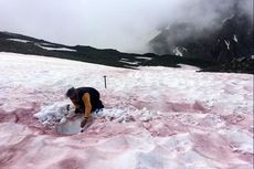 Gletser Darah di Pegunungan Alpen Bisa Jadi Penanda Perubahan Iklim 