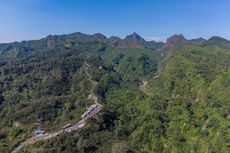 Pencari Madu Hilang di Hutan Gunung Kelud Kediri, Tim SAR Diterjunkan 