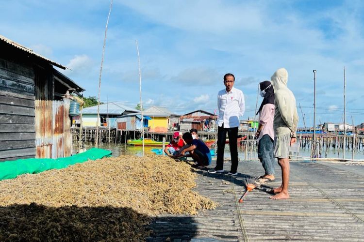 Presiden Joko Widodo saat mengunjungi Kampung Nelayan Tanjung Pasir, Kota Tarakan, Provinsi Kalimantan Utara, pada Selasa (28/2/2023).