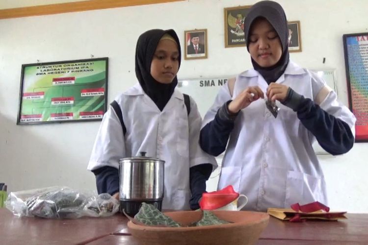 Siswa SMAN 7 Pinrang menemukan obat herbal dari daun sirih untuk penghambar sel kanker.