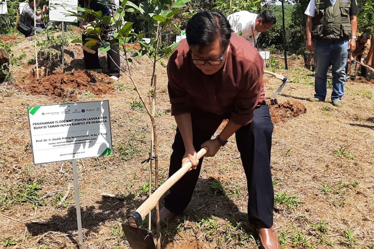 Wakil Rektor III IPB, Dodik Ridho Nurrochmat dalam penanaman pohon di Taman Hutan Kampus IPB, di Bogor, Kamis (15/12/2022).