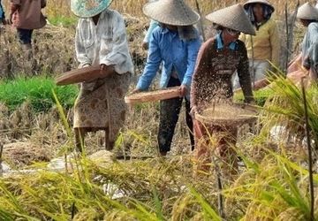 PISAgro Bidik 44 Juta Petani Kecil untuk Masuk Ekosistem Kemitraan
