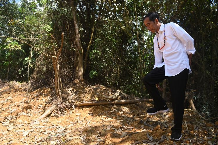 Presiden Joko Widodo berjalan di kawasan hutan saat meninjau salah satu lokasi calon ibu kota negara di Gunung Mas, Kalimantan Tengah, Rabu (8/5/2019). ANTARA FOTO/Akbar Nugroho Gumay/foc.