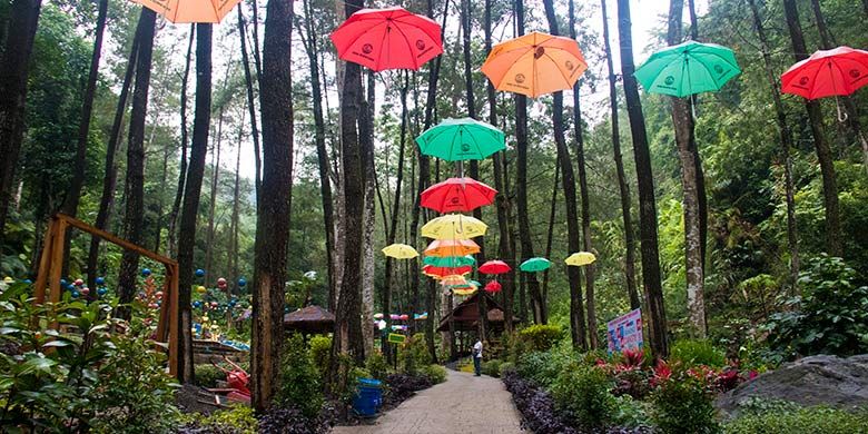 Srambang Park, Ngawi, keindahan taman di tengah hutan, sungai, dan air terjun alam.