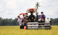 Sambut Panen Raya, Kementan Berkomitmen Jaga Harga Jual Gabah