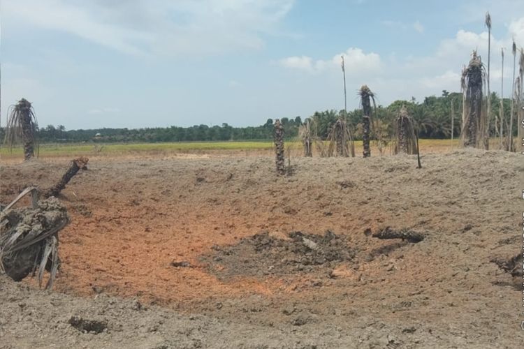 1 Hektare Kebun Sawit Hangus Imbas Semburan Api dari Sumur Bor