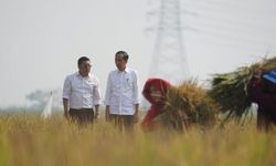 Amankan Produksi Beras, Plt Mentan bersama Presiden RI Tinjau Panen Raya di Subang