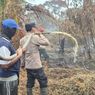 Pemadaman Kebakaran Hutan di Indragiri Hilir, Waspadai Harimau Sumatera 