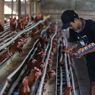BERITA FOTO: Harga Telur Ayam Tembus Rp 31.000 Per Kg