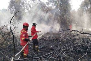 Kebakaran Lahan di Aceh Selatan Meluas Jadi 23 Hektare, Manggala Agni Terus Berjibaku Padamkan Api