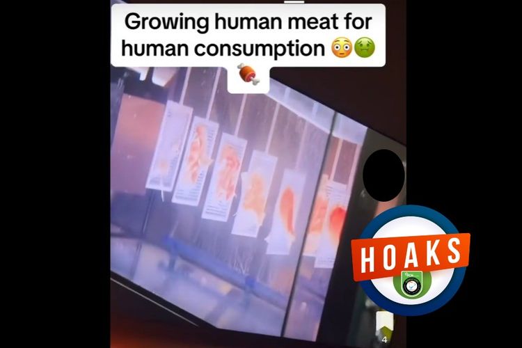 Hoaks, video kultur daging manusia