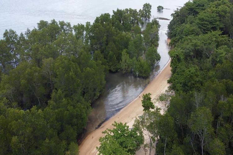 Ekowisata Alam Mangrove Pandang Tak Jemu di Desa Wisata Kampung Tua Bakau Serip, Batam, Kepulauan Riau. 