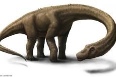 Inilah 3 Dinosaurus Terbesar yang Pernah Menjelajah Bumi