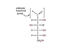 Aldoheksosa: Pengertian dan Contohnya
