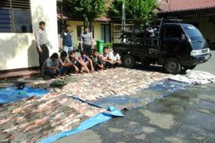 Para pelaku dan barang bukti ikan nila yang diamankan petugas Denpom l/1 Pematangsiantar, Minggu (4/9/2016) 