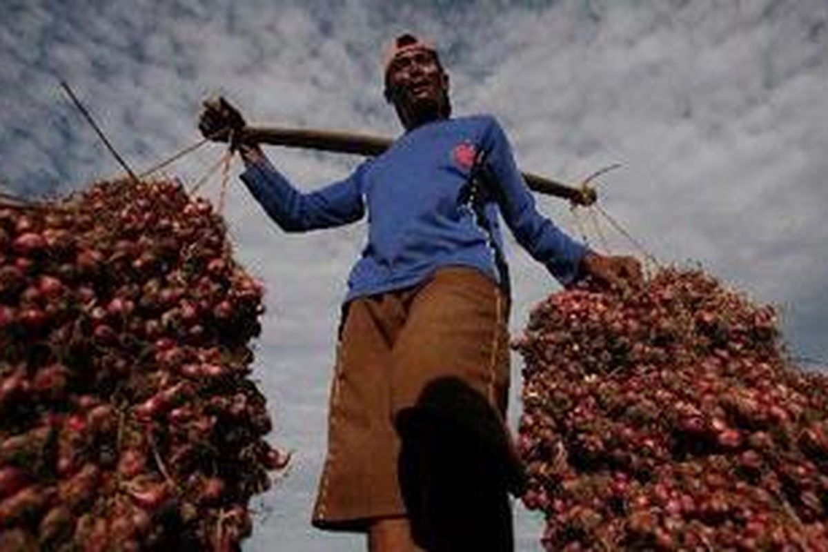 Pekerja mengangkut bawang merah yang telah dijemur untuk dibawa ke luar pulau Jawa di tempat pengepul bawang milik Seger di Wanasari, Brebes, Jawa Tengah, Rabu (26/5/2010).