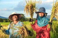 Lewat UMi Kemenkeu Bantu Petani Dapatkan Pembiayaan Tanpa Anggunan