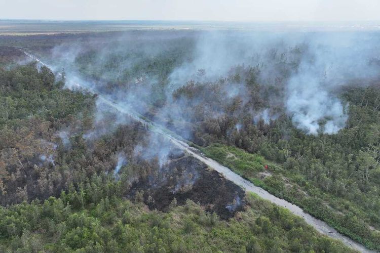 BNPB: Karhutla Dominasi Bencana, Terjadi di 6 Daerah