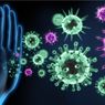 Berikut Cara Sistem Imun Tubuh Melawan Virus Corona 