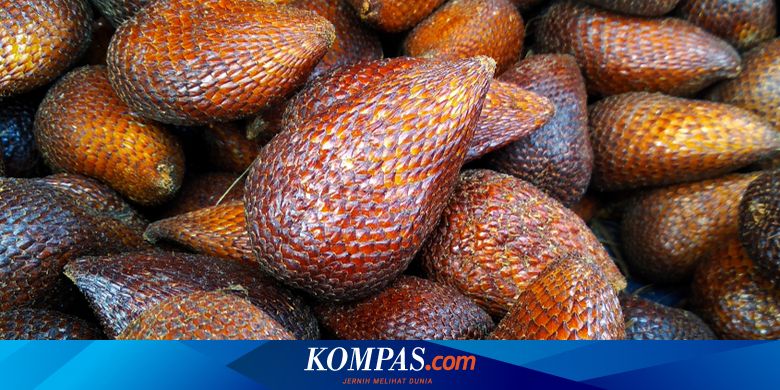 Penelitian UGM: Kulit Salak Bisa Jadi Obat Kanker Lidah - Vimarsana News