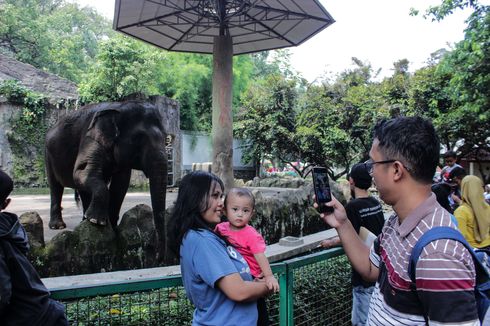 Taman Margasatwa Ragunan Buka Lagi, Hanya untuk Warga DKI Jakarta