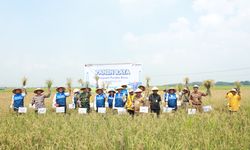 Pertamina EP Cepu Dorong Desa Sidorejo Jadi Sentra Pertanian Organik Blora