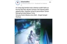[POPULER JABODETABEK] Kucing Mati di Bekasi Berujung Aduan Polisi | Temuan Ganja 1 Ton di Pool Truk