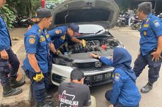 Pengendara Motor Temukan Anak Kucing di Ruang Mesin Mobil
